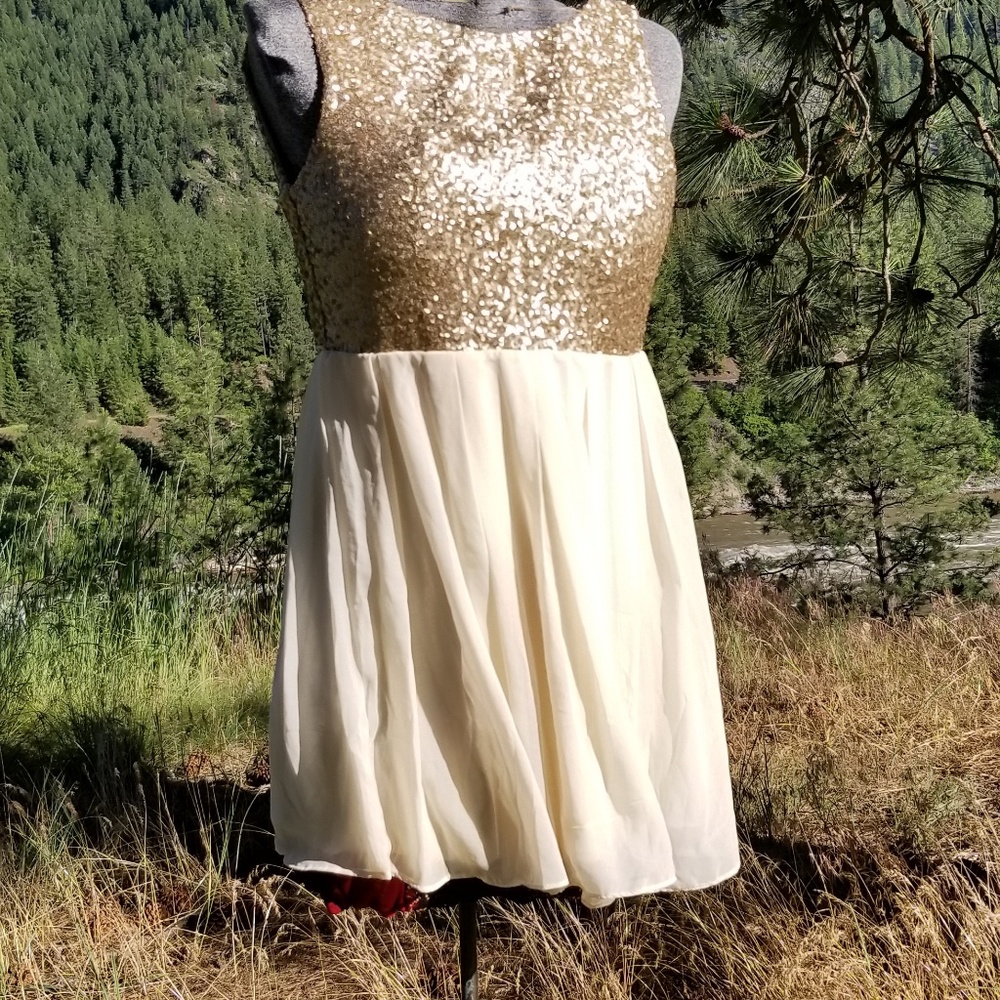 ✨HOST PICK✨ NWT Golden Cocktail Dress - Picture 3 of 5